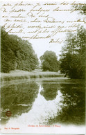 76 - SAINT SAENS - Château De St Saëns - L'Etang - Saint Saens