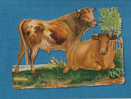 TRES BEAU DECOUPIS GRAND FORMAT Gaufré  Vaches Vache Paisible Au Pré 17 Cm X 23,5 Cm - Animaux