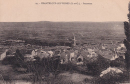 CHANTELOUP LES VIGNES - Chanteloup Les Vignes