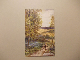 NR. RADFORD WOODS, PLYMOUTH /PICTURESQUE COUNTIES - Artist: G.H. JENKINS JR .- Oilette Card  -  Raphael Tuck  ( 9388)) - Plymouth