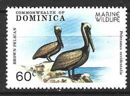 DOMINIQUE. N°606 De 1979. Pélican. - Pelicans