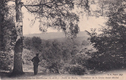 SAINT NOM LA BRETECHE(ARBRE) - St. Nom La Breteche