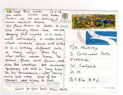 Beau Timbre , Stamp  " Train : Locomotive Diesel "  Sur Cp , Carte , Postcard Du 17/05/2003 - Lettres & Documents