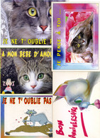 5 Cartes HUMORISTIQURES CHATS ET CHATONS  - Collection TANDY Et  Editions Paty & Sweety - Katzen