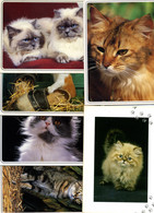 6 Cartes CHATS ET CHATONS (7403/05 -7403/7 -7403/8 -7403/10 -7403/28 -6310) - Editions Valloire - Production Leconte - Katzen