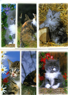 6 Cartes - Notre Ami Le Chat - (400/5 - 401/1 - 401/2 - 401/3 - 402/5 - 403/2) - Editions Dubray - Production Verlag - Katzen