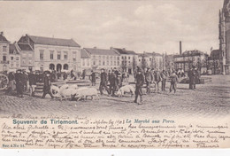 Tirlemont - Marché Aux Porcs - Tienen