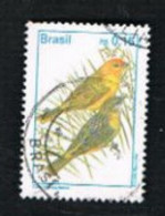 BRASILE (BRAZIL) -  SG 2655  - 1995  BIRDS: SICALIS FLAVEOLA        - USED° - Usados