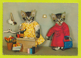 Carte Fantaisie CHATS Humanisés Habillés Déguisés Made In Western Germany - Geklede Dieren