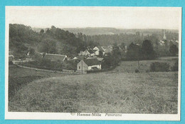 * Hamme Mille - Bevekom (Waals Brabant Wallon) * (Albert) Panorama, Vue Générale, Old, Rare, Unique - Beauvechain