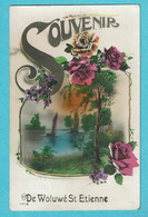 * Sint Stevens Woluwe - Woluwé Saint Etienne (Zaventem - Vlaams Brabant) * (nr 1418) Souvenir, Fantaisie, Roses - Zaventem