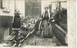 BRUXELLES-LAITIERES -ATTELAGE DE CHIEN - Petits Métiers