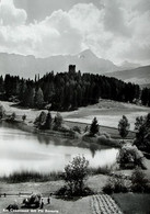 DOMLESCHG Am Canovasee Mit Piz Beverin Landwirtschaft Heu-Ernte Gel. 1962 V. Paspels - Bever