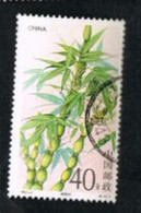 CINA  (CHINA) - SG 3851  - 1993 FLORA: BUDDHA BELLY BAMBOO  -  USED - Used Stamps