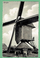 Mol - Millegem - Molen - 1958 - Mol