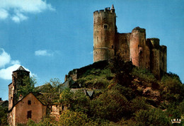 16502 NAJAC Le Château Chef D'Œuvre De L'art Militaire Au XIIIe Siècle    ( 2 Scans )  12 Aveyron - Najac