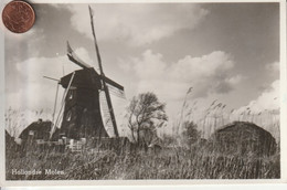 Carte Postale Ancienne D'un Très Beau Moulin    Hollandse  Molen - Autres & Non Classés