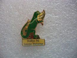 Pin's Du Rallye Sainte Therese En 91 - Rallye