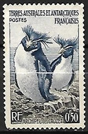 French Antarctic Territory (TAAF) : MNH ** 1956 :    Southern Rockhopper Penguin  -  Eudyptes Chrysocome - Pingouins & Manchots