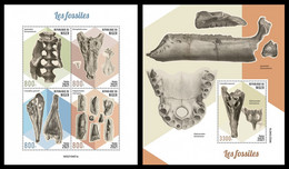 Niger  2021 Fossils. (401) OFFICIAL ISSUE - Fossiles