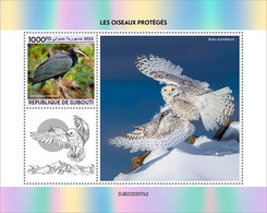 Djibouti 2022 Protected Birds S202210 - Djibouti (1977-...)