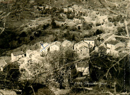 Forciolo * Carte Photo 10x15cm * Le Village * Corse Du Sud 2A - Andere & Zonder Classificatie