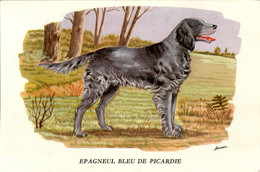 P. Horber Papier Publicitaire Produit Pharmaceutique Biolactyl Epagneul Bleu De Picardie 犬 Dog 狗 Chien Cane Perro TB.E - Publicités