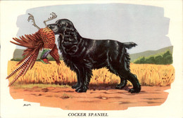 P. Horber Papier Publicitaire Produit Pharmaceutique Biolactyl Cocker Spaniel 犬 Dog 狗 Chien Cane Perro En B.Etat - Advertising