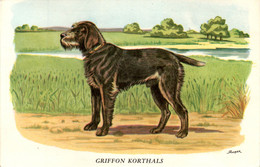 P. Horber Papier Publicitaire Produit Pharmaceutique Biolactyl Griffon Korthals 犬 Dog 狗 Chien Cane Perro En TB.Etat - Advertising