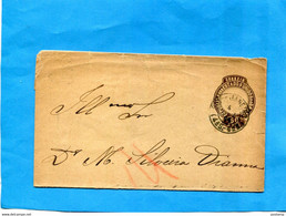 MARCOPHILIE- BRESIL Estados Unido  -letter Entier  Postal Stationery 60  Marron- A Voyagé 1894 - Brieven En Documenten