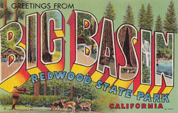 3367 – Large Letters - Greetings Big Basin – Redwood State Park California CA - U.S.A. – Linen – VG Condition – 2 Scans - Souvenir De...