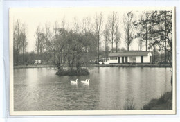 Tourinnes La Grosse - "Camping Au Val Tourinnes" Carte-photo Leroy Hamme-Mille - Beauvechain