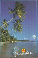 CARTOLINA  BARBADOS,ANTILE,BOLLO STACCATO,VIAGGIATA 1995 - Barbades