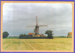 Carte Postale 59. Hondschoote  Le Moulin  Très Beau Plan - Hondshoote