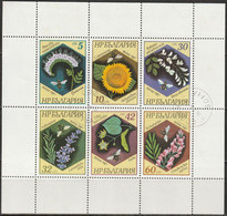 Bulgarien 1987 Mi-Nr.3582 - 3587 O Gestempelt Bären ( EK14/4 ) - Used Stamps