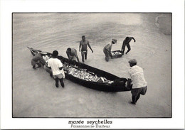 (3 N 38) Seychelles - Posted To France - B/w - Marée - Bâteau Et Poissons (fisherman & Fish Catch) Turtle Stamp - Seychellen