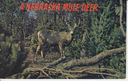 A Nebraska Mule Deer,     Beautiful Plume    Wooded Cerf Mulet,  Beau Panache  Boisé Centennial 1867-1967 Étampe. Stamp - Altri & Non Classificati