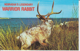 Nebraska's Legendary Warrior Rabbit    Lake McConaughy. Wooded   Sandhills Warrior Rabbit  Le Lapin Guerrier 2 Scans - Altri & Non Classificati