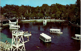 Florida Silver Springs Glass Bottom Boats - Silver Springs