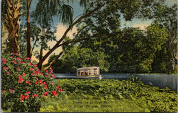 Florida Silver Springs Glass Bottom Boat On The Silver River Curteich - Silver Springs