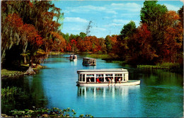 Florida Silver Springs Glass Bottom Boats On The Silver River 1958 - Silver Springs