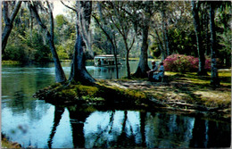 Florida Silver Springs Glass Bottom Boat On The Silver River 1976 - Silver Springs