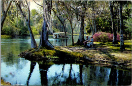 Florida Silver Springs Glass Bottom Boat On The Silver River 1965 - Silver Springs