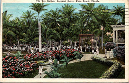 Florida Palm Beach Cocoanut Grove The Tea Garden 1927 - Palm Beach