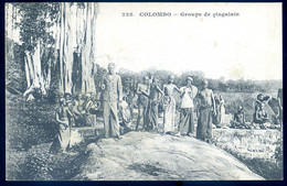 Cpa Du Sri Lanka Ceylon -- Colombo Groupe De Cingalais Aout22-114 - Sri Lanka (Ceylon)