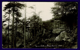 Ref 1588 - 1914 Photo Postcard - Entrance To Wyming Brook Sheffield - Ecclesall Postmark - Sheffield