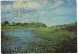 Totness - Irrigatiekanaal / Irrigation Canal - (District Coronie, Suriname) - 1979 - Surinam