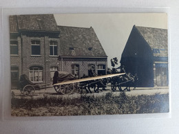 MORSLEDE - Photo Carte - Lance-mines, Attelages - Moorslede