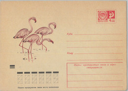 75715 - RUSSIA - POSTAL HISTORY -  Picture STATIONERY COVER  Birds 1973 Flamingo - Flamingo's