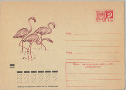 75715 - RUSSIA - POSTAL HISTORY -  Picture STATIONERY COVER  Birds 1973 Flamingo - Flamingo